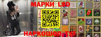 прущие грибы Краснодар