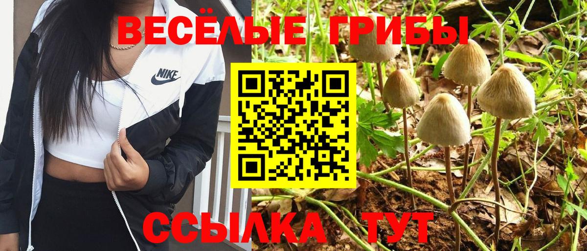 Псилоцибиновые грибы MAGIC MUSHROOMS Калининград